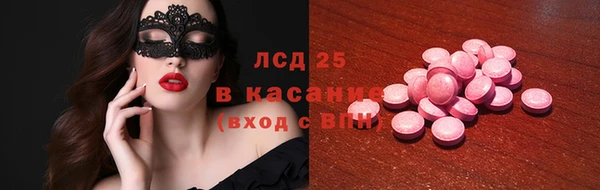 PSILOCYBIN Михайлов