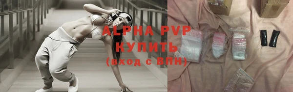 PSILOCYBIN Михайлов