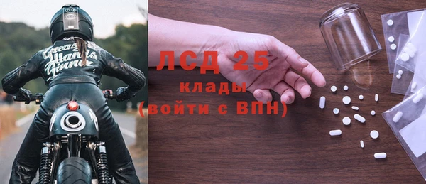крисы Ельня