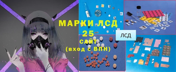PSILOCYBIN Михайлов