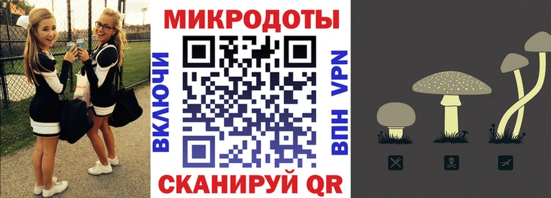Галлюциногенные грибы прущие грибы Иваново