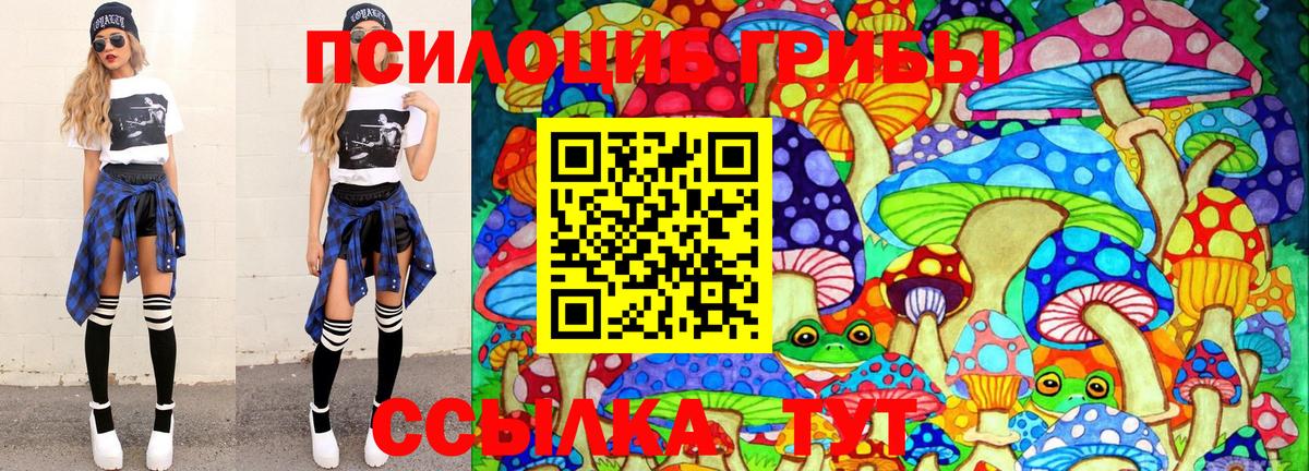 Галлюциногенные грибы MAGIC MUSHROOMS  Вход с VPN  Иваново 