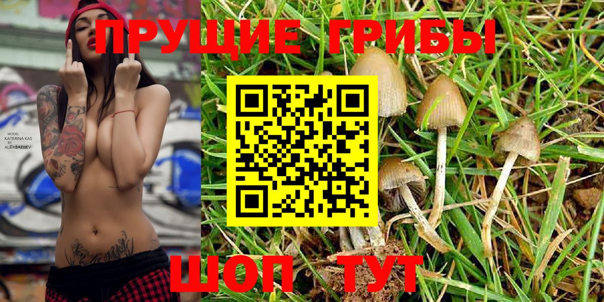 Галлюциногенные грибы Cubensis Иваново